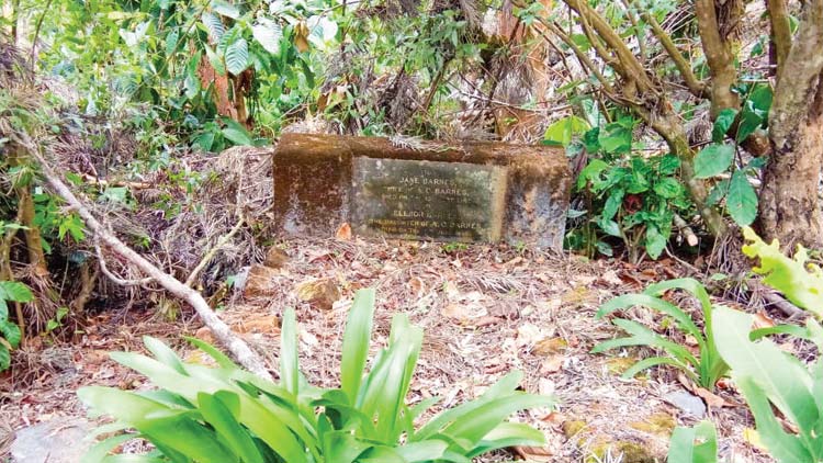 പൊ​ഴു​ത​ന​യി​ലെ പു​രാ​ത​ന ക​ല്ല​റ  കാ​ടു​ക​യ​റി ന​ശി​ക്കു​ന്നു