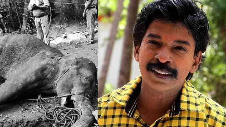 മലപ്പുറത്തെ കുറിച്ച് പറയാൻ പാടില്ലെന്ന്; വിമർശനവുമായി സന്തോഷ് പണ്ഡിറ്റ് മലപ്പുറത്തെ കുറിച്ച് പറയാൻ പാടില്ലെന്ന്; വിമർശനവുമായി സന്തോഷ് പണ്ഡിറ്റ്