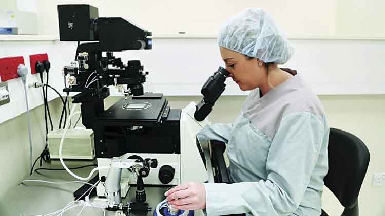 വനിതകൾക്കായി സിദ്റയിൽ കൂടുതൽ സേവനങ്ങൾ വരുന്നു