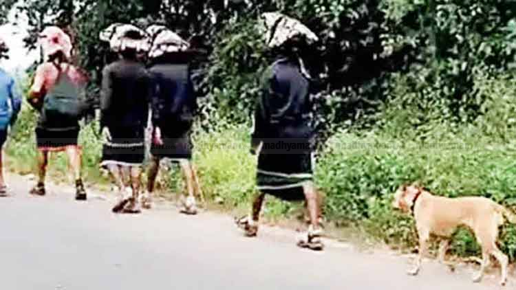 Stray-dog-covers-Sabarimala-pilgrims. Stray-dog-covers-Sabarimala-pilgrims.
