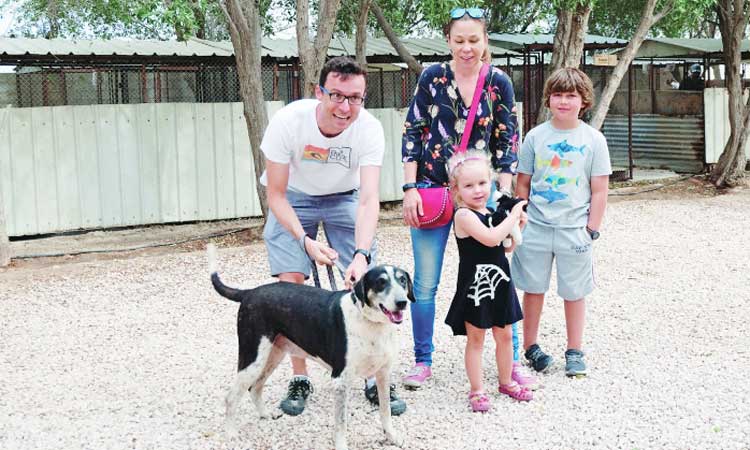 ഇ​താ, നാ​യ്​​ക്ക​ൾ​ക്കും പൂ​ച്ച​ക​ൾ​ക്കും സ്വ​ന്തം​വീ​ട്​