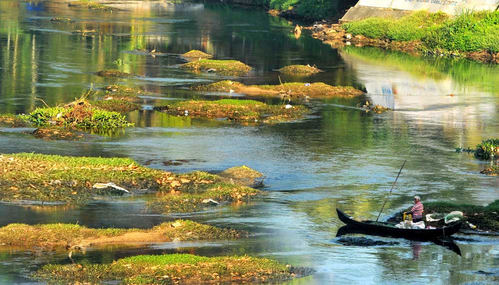 അ​ന്നം ത​ന്നെ ഉ​ന്നം...