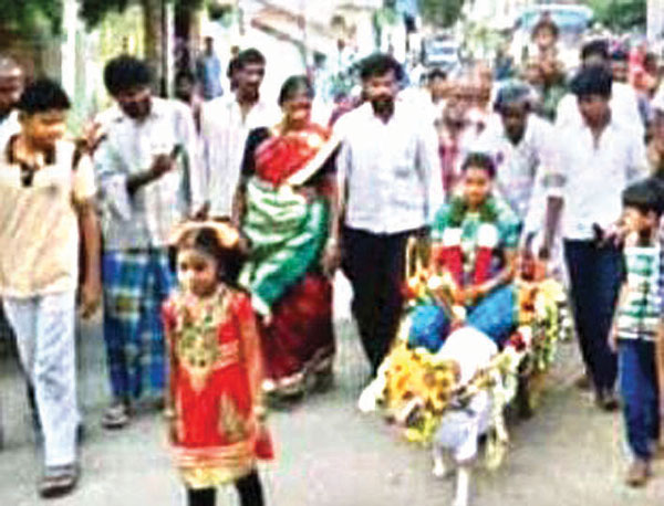 വധുവിന്‍െറ തേരുതെളിച്ച് വളര്‍ത്തുനായ