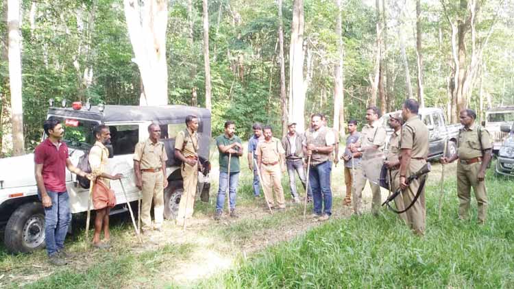 വന്യജീവികൾ ജീവനെടുക്കുന്നു; ഉറക്കംകെട്ട്​ വയനാട്