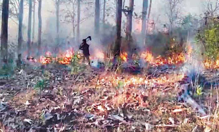 വ​ട​ക്ക​നാ​ട് മേ​ഖ​ല​യി​ല്‍ വ​ന്‍ തീ​പി​ടി​ത്തം