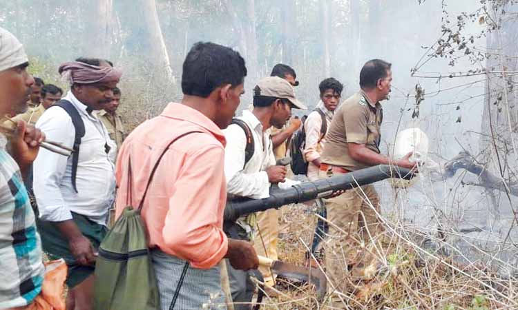 കാട്ടുതീ; ഏക്കർ കണക്കിന്  വനം കത്തിനശിച്ചു