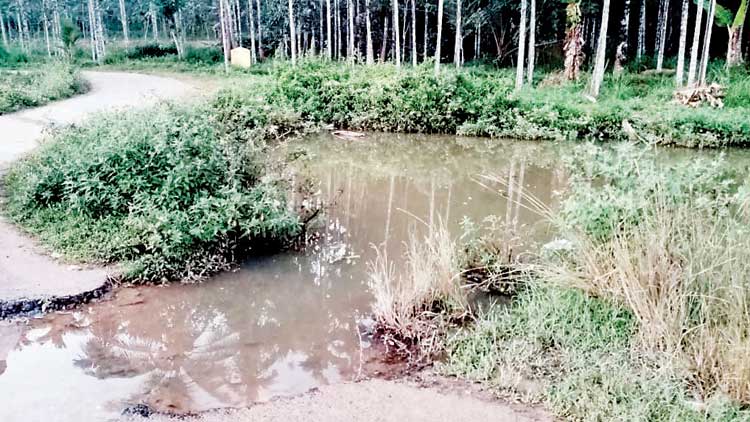 നെ​ല്ലി​യ​മ്പം- കാ​യ​ക്കു​ന്ന് റോ​ഡ​രി​കി​ലെ കു​ളം അ​പ​ക​ട​ക്കെ​ണി