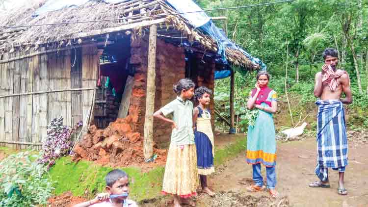 സമരം ചെയ്ത് നേടിയ ഭൂമിയുണ്ട്​; അന്തിയുറങ്ങാൻ വീടില്ല