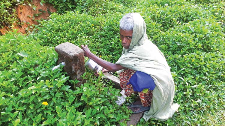 പു​ഴ​യി​ൽ വെ​ള്ള​മു​ണ്ട്;  തി​രു​നെ​ല്ലി​ക്കാ​ർ​ക്ക് കു​ടി​ക്കാ​നി​ല്ല