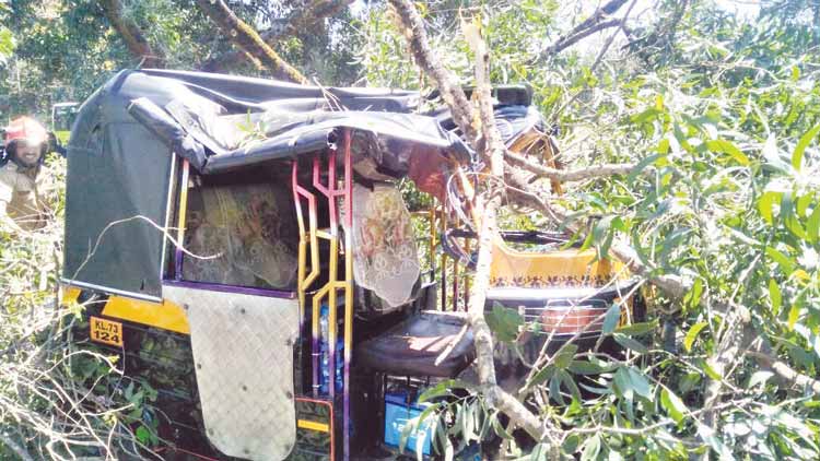 ഓ​േട്ടാ​ക്കുമേ​ൽ മ​രം വീ​ണ് ഡ്രൈ​വ​ര്‍ക്ക് പ​രിക്ക്