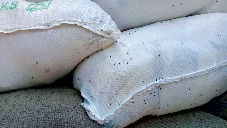 ഭ​ക്ഷ്യ​യോ​ഗ്യ​മ​ല്ലാ​ത്ത റേ​ഷ​ൻ​സാ​ധ​ന​ം നാ​ട്ടു​കാ​ർ തി​രി​ച്ച​യ​ച്ചു