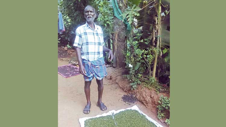 സുഗന്ധഗിരിയിലെ ദുർഗന്ധങ്ങൾ