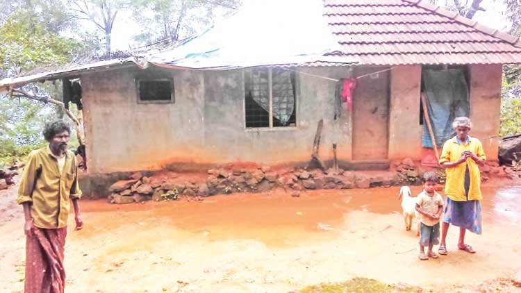 ഇ​ല്ലാ​യ്മ​യി​ൽ ന​ന​ഞ്ഞ്​  ശേ​ഖ​ര​ൻ​കു​ണ്ട് കോ​ള​നി