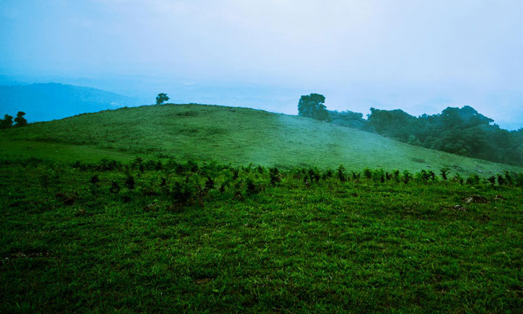 ത​ടി​യ​ൻ​റ​മോ​ളിൽ സഞ്ചാരികൾക്ക്​ ഇപ്പോഴും വിലക്ക്​