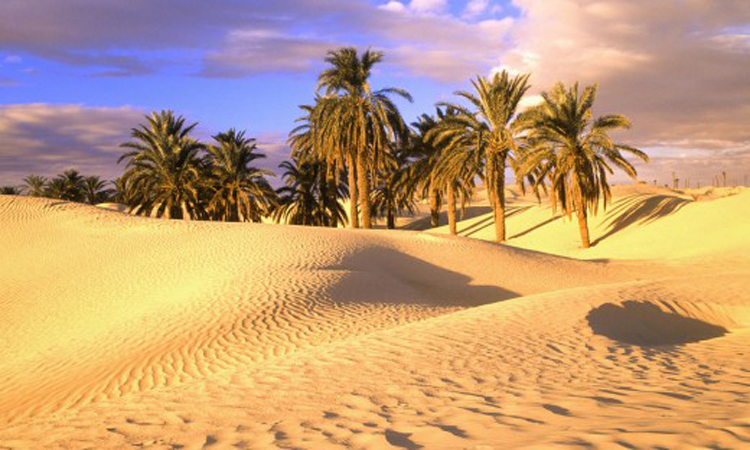 ചുട്ടു​െപാള്ളുന്നു. മരുഭൂമി: ജാഗ്രത നിർദേശവുമായി ആരോഗ്യ വകുപ്പ്​