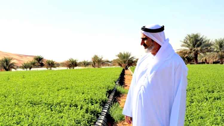 ലോ​ക ഭ​ക്ഷ്യ​സു​ര​ക്ഷ സൂ​ചി​ക​യി​ൽ യു.​എ.​ഇ​ക്ക് 31ാം സ്ഥാ​നം