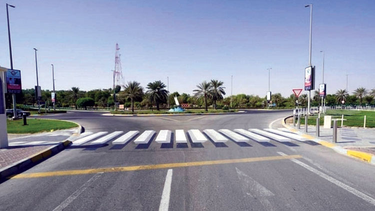 വാഹനമോടിക്കുന്നവർ ശ്രദ്ധിക്കണേ, റോഡിൽ കുഞ്ഞുങ്ങളുമുണ്ട്