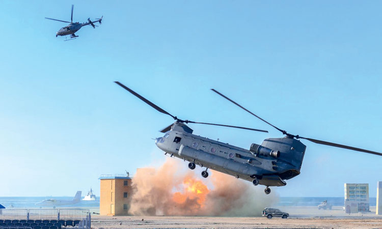 യു.​എ.​ഇയു​ടെ ശ​ക്തി വി​ളി​ച്ചോ​തി സൈ​നി​ക പ്ര​ദ​ര്‍ശ​നം