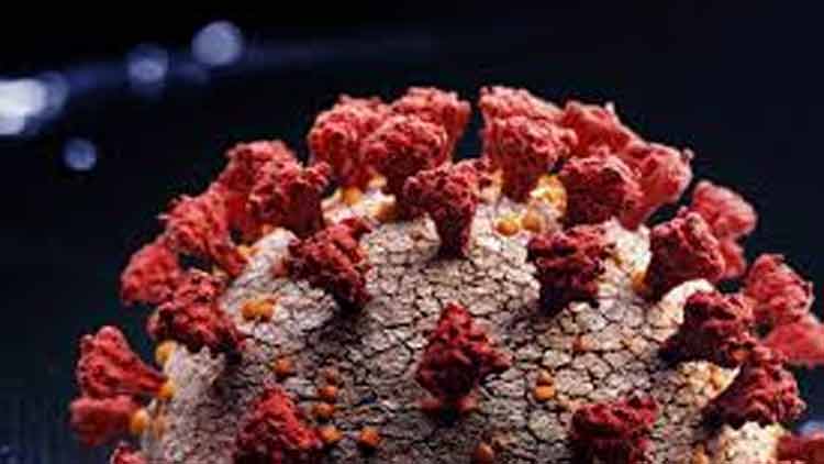 പ്രവാസി തൊഴിലാളിക​ളെ മാറ്റിത്താമസിപ്പിക്കാൻ സ്​കൂളുകൾ പരിഗണനയിൽ