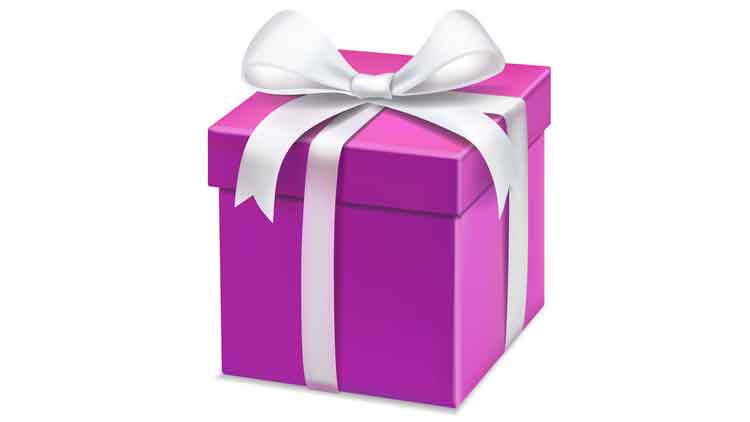 സ​മ്മാ​ന​ത്ത​ട്ടി​പ്പ്​:  ഇൗ ​വ​ർ​ഷം അ​ബൂ​ദ​ബി പൊ​ലീ​സ്​