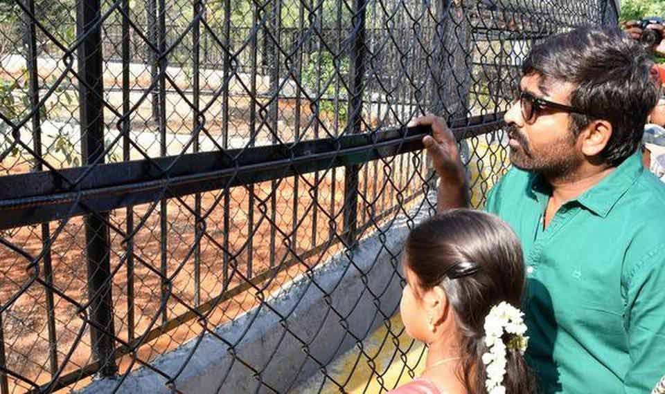 ചെന്നൈ മൃഗശാലയിലെ രണ്ടു​ കടുവകളെ നടൻ വിജയ്​ സേതുപതി ദത്തെടുത്തു
