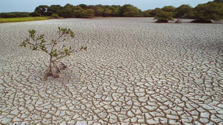 Water_Scarcity1 Water_Scarcity1