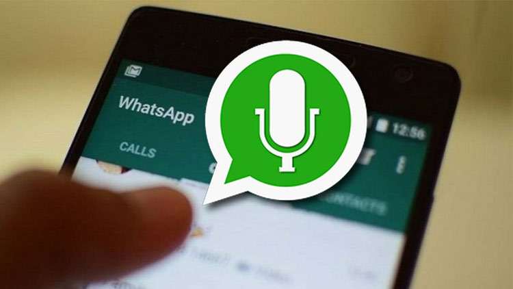 WhatsApp-audio