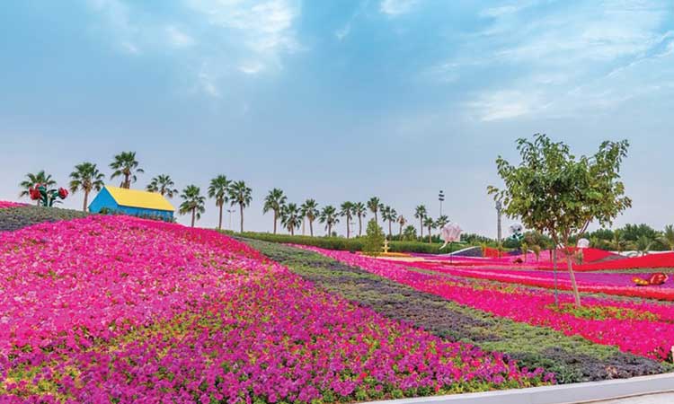 യാമ്പു പുഷ്​പോൽസവത്തിന്​ നാളെ കൊടിയേറ്റം