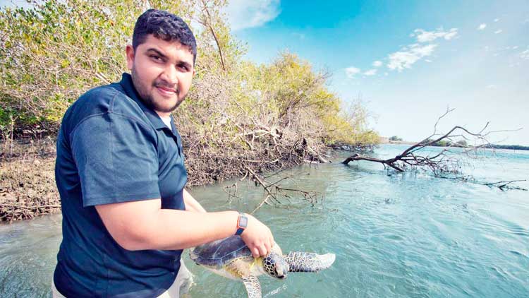 ഒമാന്‍ ഉള്‍ക്കടലിലെ കടലാമ കുടിയേറ്റത്തെക്കുറിച്ച്  ഷാര്‍ജ പഠനത്തിന്