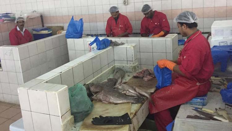 മിന മാർക്കറ്റിൽ മീൻവെട്ട്​ കല്ലിന്​ ലൈസൻസ് ഏർപ്പെടുത്തുന്നു