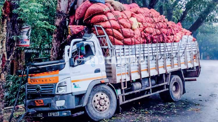 ചു​രം ഇ​റ​ങ്ങു​ന്ന​തി​നി​ടെ ബ്രേ​ക്കു​പോ​യ ലോ​റി ഡ്രൈ​വ​ർ മ​ര​ത്തി​ലി​ടി​ച്ചു നി​ർ​ത്തി