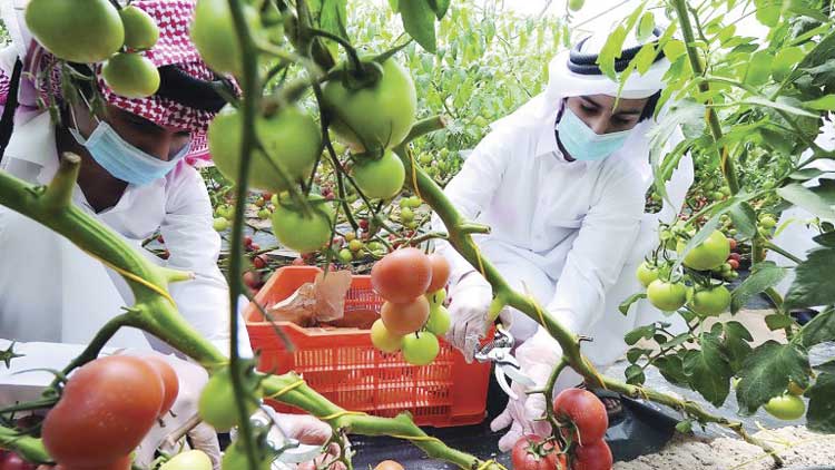 ദേ​ശീ​യ ഭ​ക്ഷ്യ​സു​ര​ക്ഷാ​ന​യം: അ​ടി​യ​ന്ത​ര​ഘ​ട്ടം  നേ​രി​ടാ​ൻ ഭ​ക്ഷ്യ​മേ​ഖ​ല സ​ജ്ജം