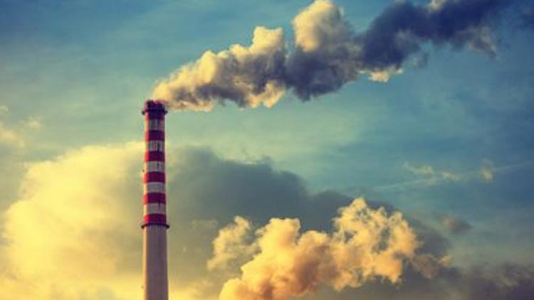 എ​ട​യാ​ര്‍ മ​ലി​നീ​ക​ര​ണ പ്ര​ശ്‌​നം; പ​രി​സ്ഥി​തി പ്ര​വ​ർ​ത്ത​ക​ർ ഹൈ​കോ​ട​തി​യെ സ​മീ​പി​ക്കും