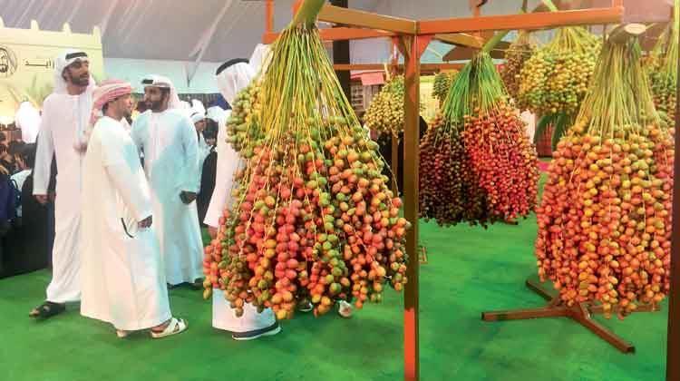 അ​ജ്മാ​ന്‍ ഈ​ത്ത​പ്പ​ഴ മേ​ള 31ന് ​തു​ട​ങ്ങും