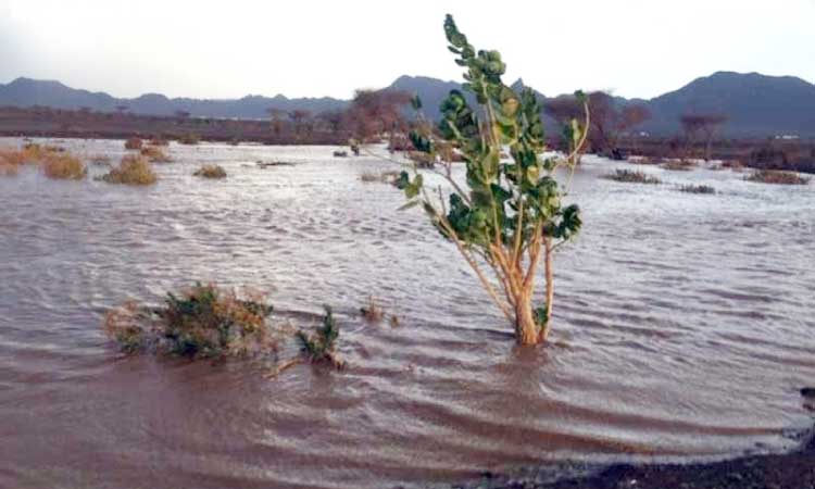 രാ​ത്രി​മ​ഴ​യി​ൽ കു​തി​ർ​ന്ന്​ അ​ൽ അ​യ്​​സ്​
