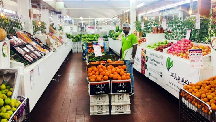 അ​ൽ​െ​എ​നി​ൽ വി​ള​വെ​ടു​പ്പു​ത്സ​വം;  പ​ഴം-​പ​ച്ച​ക്ക​റി​ക​ൾ​ക്ക്​ വി​ല​ക്കു​റ​വ്