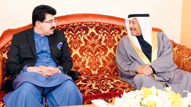 പാ​ക് സെ​ന​റ്റ് ചെ​യ​ര്‍മാ​നു​മാ​യി  ശൂ​റ കൗ​ണ്‍സി​ല്‍ അ​ധ്യ​ക്ഷ​ന്‍ ച​ര്‍ച്ച ന​ട​ത്തി