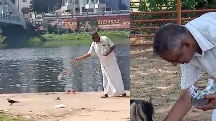 ലോക്ക്ഡൗൺ: ബലിക്കാക്കകൾക്ക് അന്നം നൽകി ഉണ്ണികൃഷ്ണൻ നമ്പീശൻ