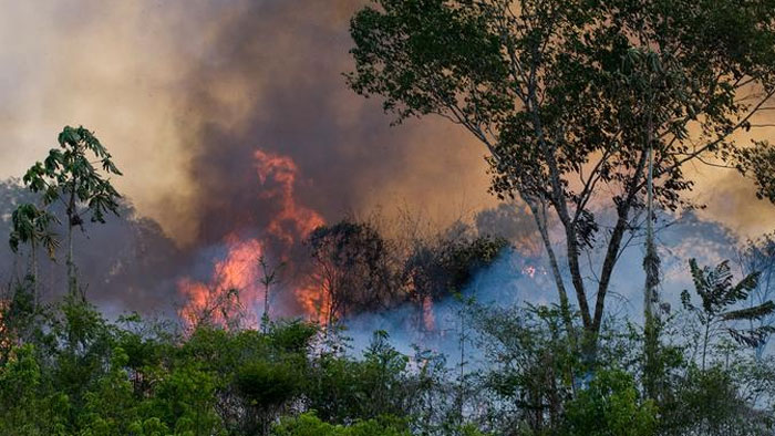 ആമസോൺ കത്തുന്നു; അണക്കാൻ സൈന്യമെത്തി