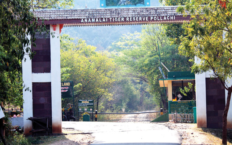 എവിടെ വൈദ്യുതിയും റോഡും? രാഷ്ട്രീയക്കാരെ കാത്ത് പറമ്പിക്കുളം നിവാസികള്‍