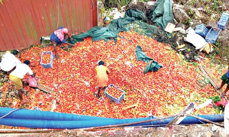 ലോറി പാലത്തില്‍നിന്ന്​ താഴേക്ക്​ മറിഞ്ഞു; ഡ്രൈവറും ക്ലീനറും രക്ഷപ്പെട്ടു