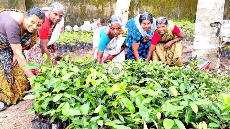 ഇവരുടെ വോട്ട്​ രാഷ്​ട്രീയം നോക്കി മാത്രം
