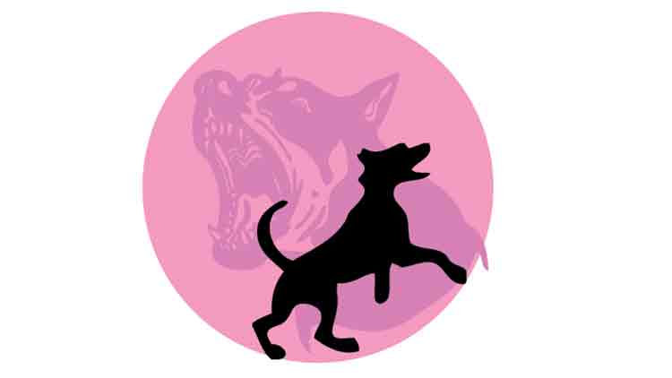 തെരുവു നായ്​ ഭീതിയിൽ ജില്ല