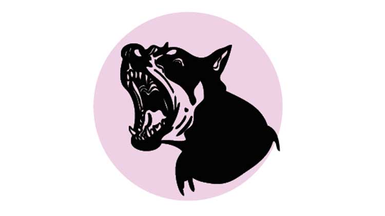 തെരുവുനായ്​ ശല്യം രൂക്ഷം; ജനം ഭീതിയിൽ