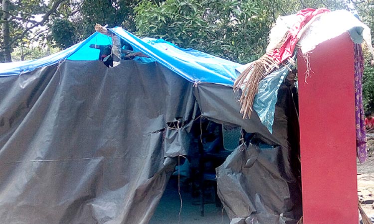 ഗൗതംകൃഷ്​ണക്കും ഗൗരികൃഷ്​ണക്കും അടുത്ത അധ്യയനവർഷമെങ്കിലും ഒരു വീട് വേണം