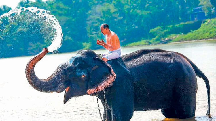 ഉ​റ​വ​വ​റ്റാ​ത്ത സ്നേ​ഹ​മാ​ണ് നാ​സ​റും മി​നി​യും