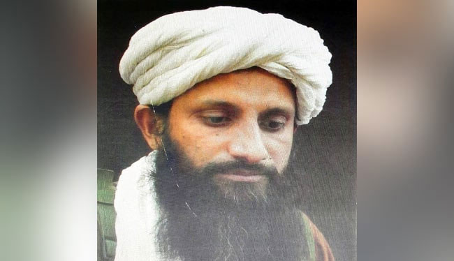 അൽ ഖ്വയ്​ദയുടെ ദക്ഷിണേഷ്യൻ കമാൻഡർ കൊല്ലപ്പെ​ട്ടെന്ന്​ റിപ്പോർട്ട്​