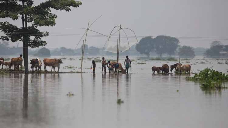 assam-flood