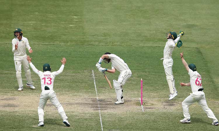 ന്യൂസിലൻഡിനെ 279 റൺസിന്​ കീഴടക്കി; പരമ്പര തൂത്തുവാരി ഓസീസ്​