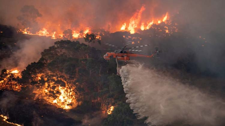 ആസ്ട്രേലിയയെ ചാമ്പലാക്കി കാട്ടുതീ; ചൂട് കൂടുന്നതും ഉഷ്ണക്കാറ്റും തിരിച്ചടി